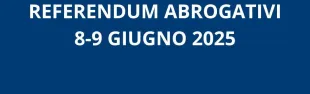 Referendum 2025