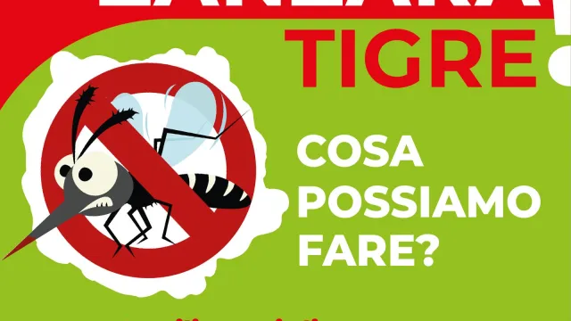 Zanzara tigre - cosa fare