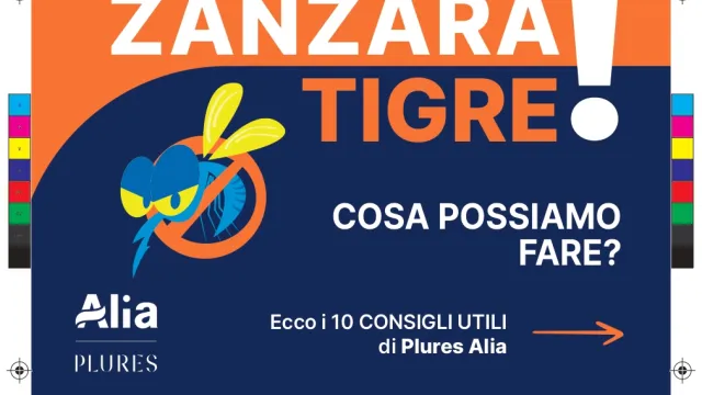 zanzara tigre