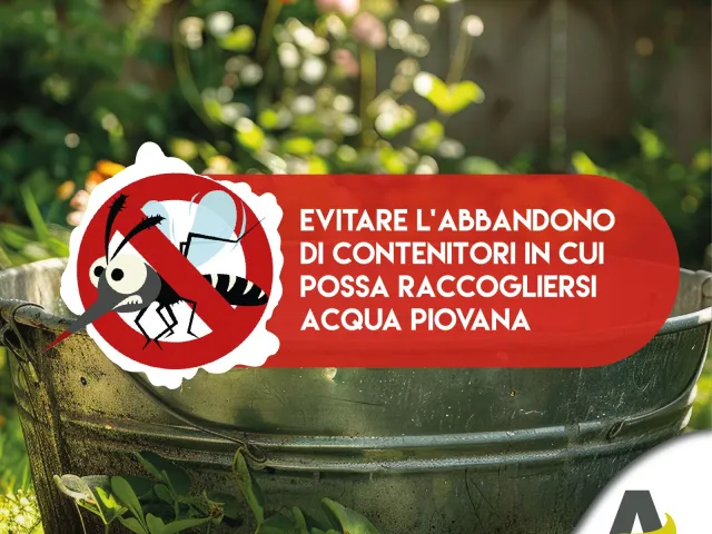 Consiglio 2