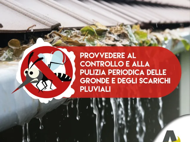 Consiglio 4