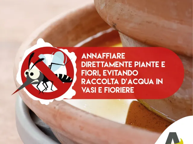 Consiglio 5