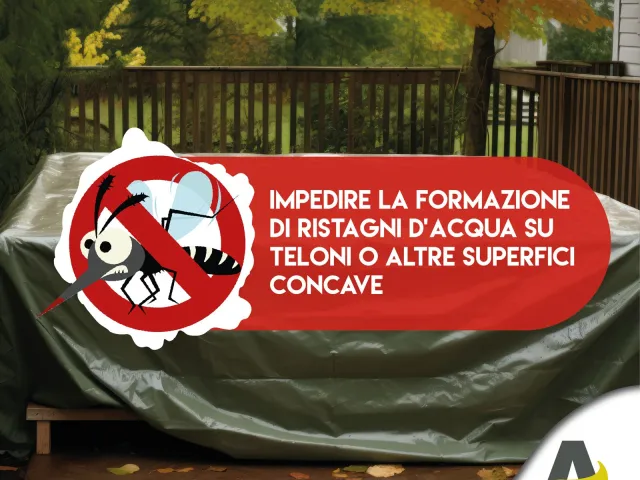 Consiglio 6