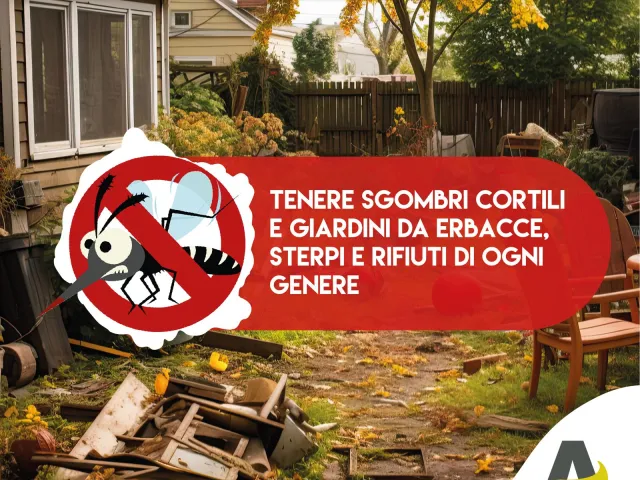 Consiglio 8