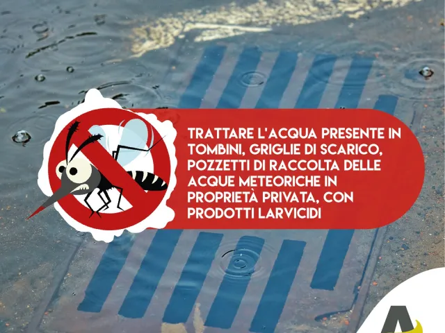 Consiglio 9